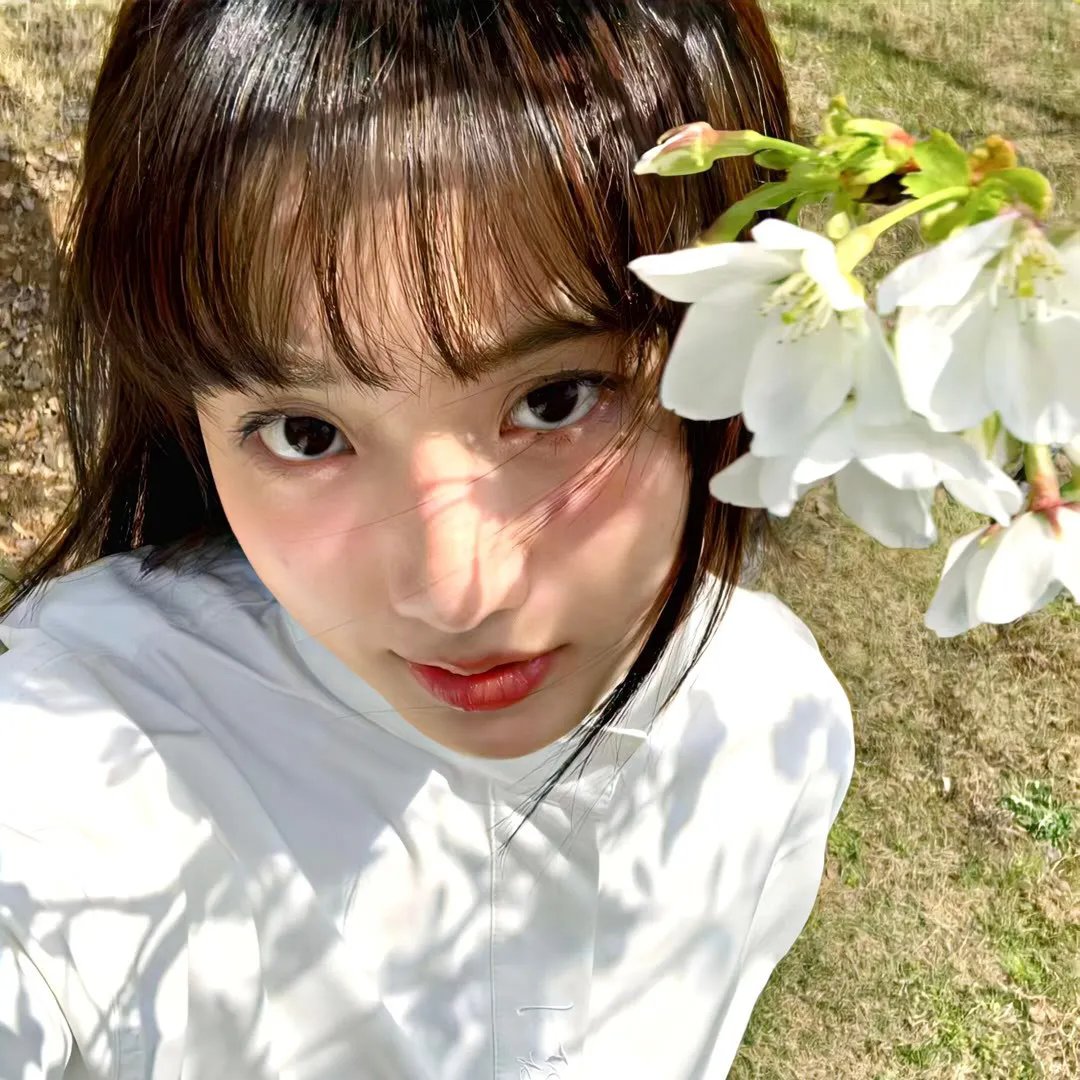 纽泽西爱未眠